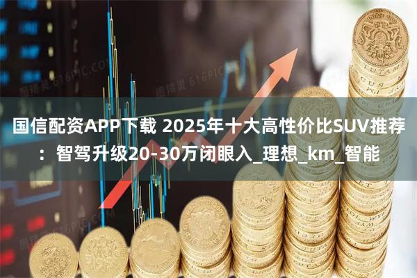 国信配资APP下载 2025年十大高性价比SUV推荐：智驾升级20-30万闭眼入_理想_km_智能