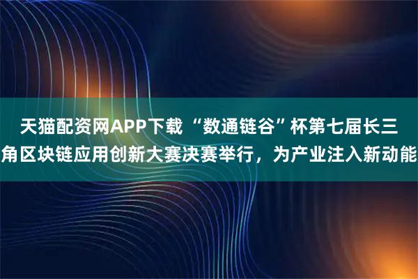 天猫配资网APP下载 “数通链谷”杯第七届长三角区块链应用创新大赛决赛举行，为产业注入新动能