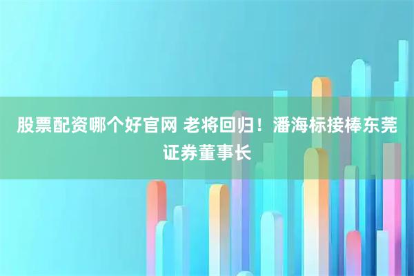 股票配资哪个好官网 老将回归！潘海标接棒东莞证券董事长