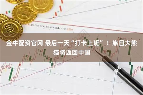 金牛配资官网 最后一天“打卡上班” ！旅日大熊猫将返回中国