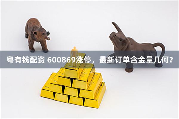 粤有钱配资 600869涨停，最新订单含金量几何？