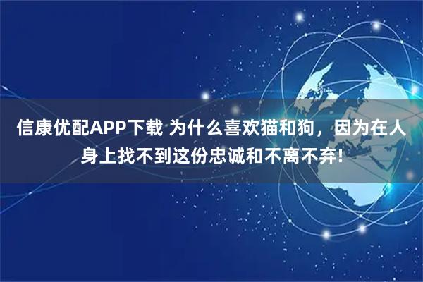 信康优配APP下载 为什么喜欢猫和狗，因为在人身上找不到这份忠诚和不离不弃!
