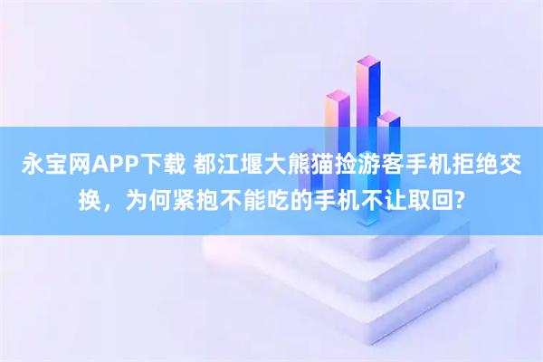 永宝网APP下载 都江堰大熊猫捡游客手机拒绝交换，为何紧抱不能吃的手机不让取回?