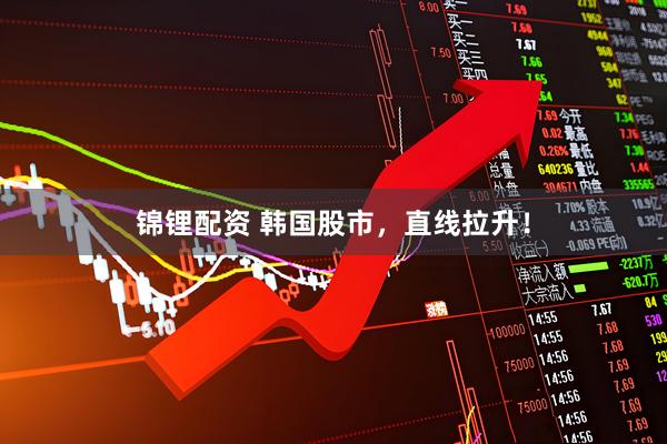 锦锂配资 韩国股市,直线拉升!